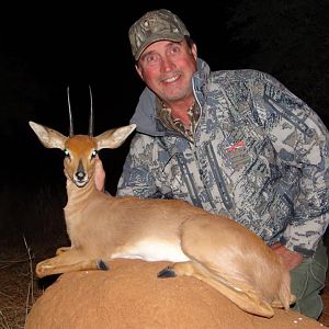 Steenbok South Africa Hunt