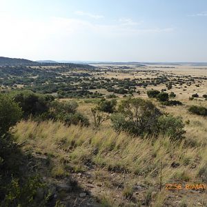 Landscape White Lion Safaris