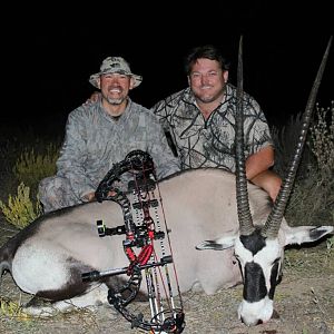 Gemsbok Bow Hunting Namibia