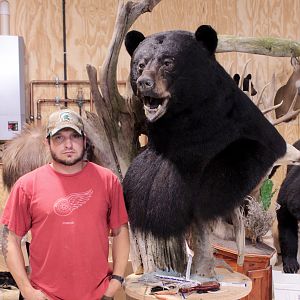 Huge Taxidermy Black Bear... Not Big Huge!