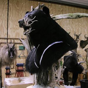 Huge Taxidermy Black Bear... Not Big Huge!