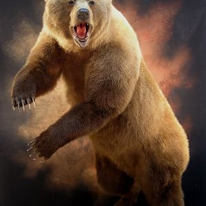 Bear Taxidermy