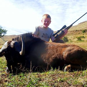 Hunting South Africa Black Wildebeest