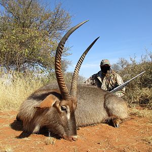 Hunting Waterbuck in South Africa