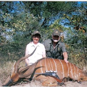 Orange Nyala Hunt South Africa