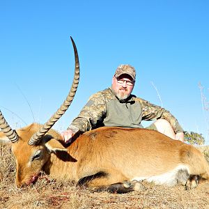 old Lechwe bull