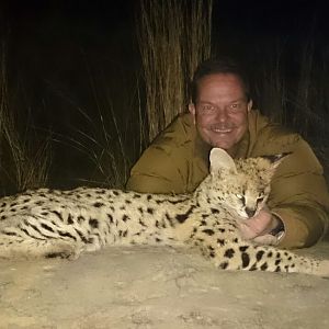 Serval Cat Hunting in South Africa