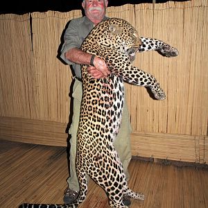 Zambia Hunting Leopard