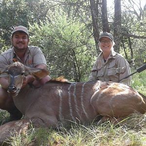 Female Kudu Cull Hunt in South Africa