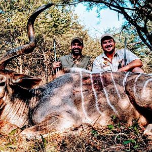 Kudu Cull Hunt in South Africa