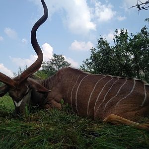 Kudu Hunt in South Africa