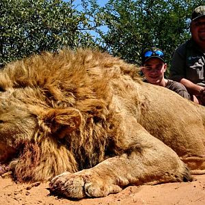 Hunting Lion South Africa