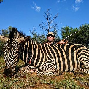 Burchell's Plain Zebra Hunting South Africa