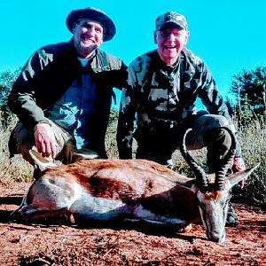 Springbok Hunt South Africa