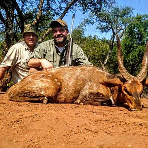 South Africa Hunting Bushbuck