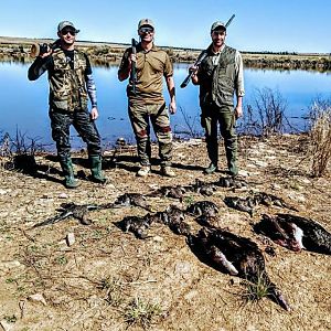 Wing Shooting in South Africa