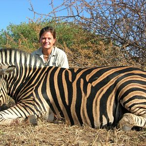 South Africa Burchell's Plain Zebra Hunt