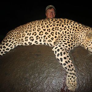 Leopard Hunt South Africa