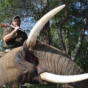 Elephant South Africa Hunting