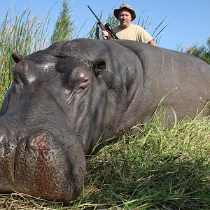 Hunt Hippo South Africa