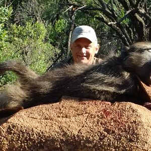 South Africa Baboon Hunt