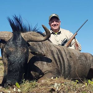 Blue Wildebeest Hunting in South Africa