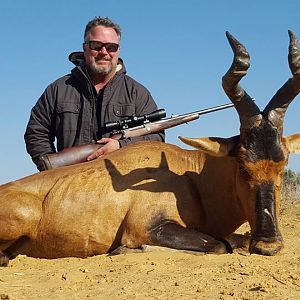 Red Hartebeest Hunting in South Africa