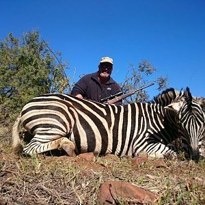 South Africa Burchell's Plain Zebra Hunt