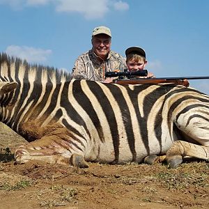 South Africa Burchell's Plain Zebra Hunt