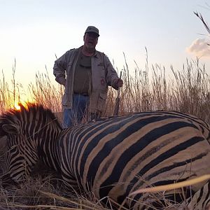 South Africa Burchell's Plain Zebra Hunt