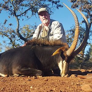 South Africa Sable Hunt