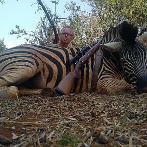 South Africa Burchell's Plain Zebra Hunt