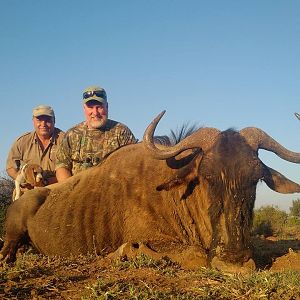 Blue Wildebeest Hunting in South Africa