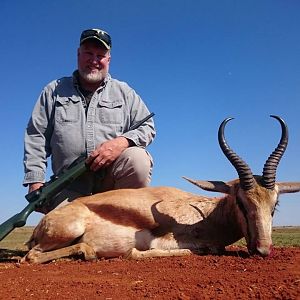 Springbok Hunt South Africa