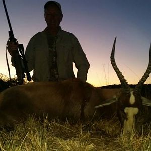 South Africa Blesbok Hunt