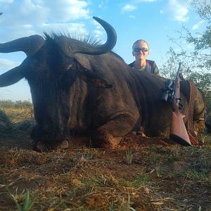 Blue Wildebeest Hunting in South Africa