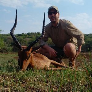 Hunting South Africa Impala