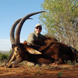 Hunting South Africa Sable Antelope