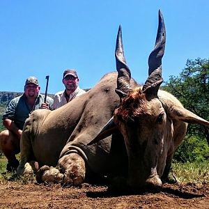 Hunting Eland South Africa