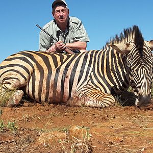 South Africa Burchell's Plain Zebra Hunt