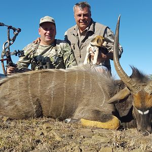 Bow Hunting Nyala South Africa