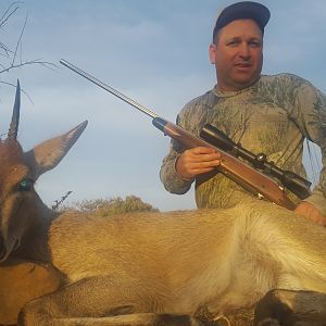 South Africa Duiker Hunt