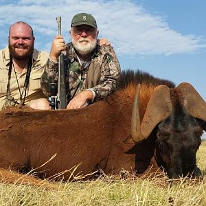 Hunting South Africa Black Wildebeest