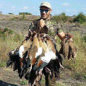 Wing Shooting Geese & Spurfowl South Africa