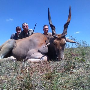 Hunting Eland South Africa