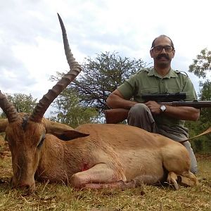 Hunting South Africa Impala