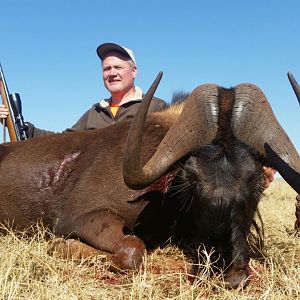 Hunting South Africa Black Wildebeest