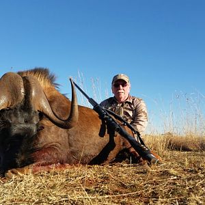 Hunting South Africa Black Wildebeest