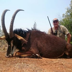 Hunting South Africa Sable Antelope