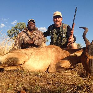 Red Hartebeest Cull Hunt in South Africa